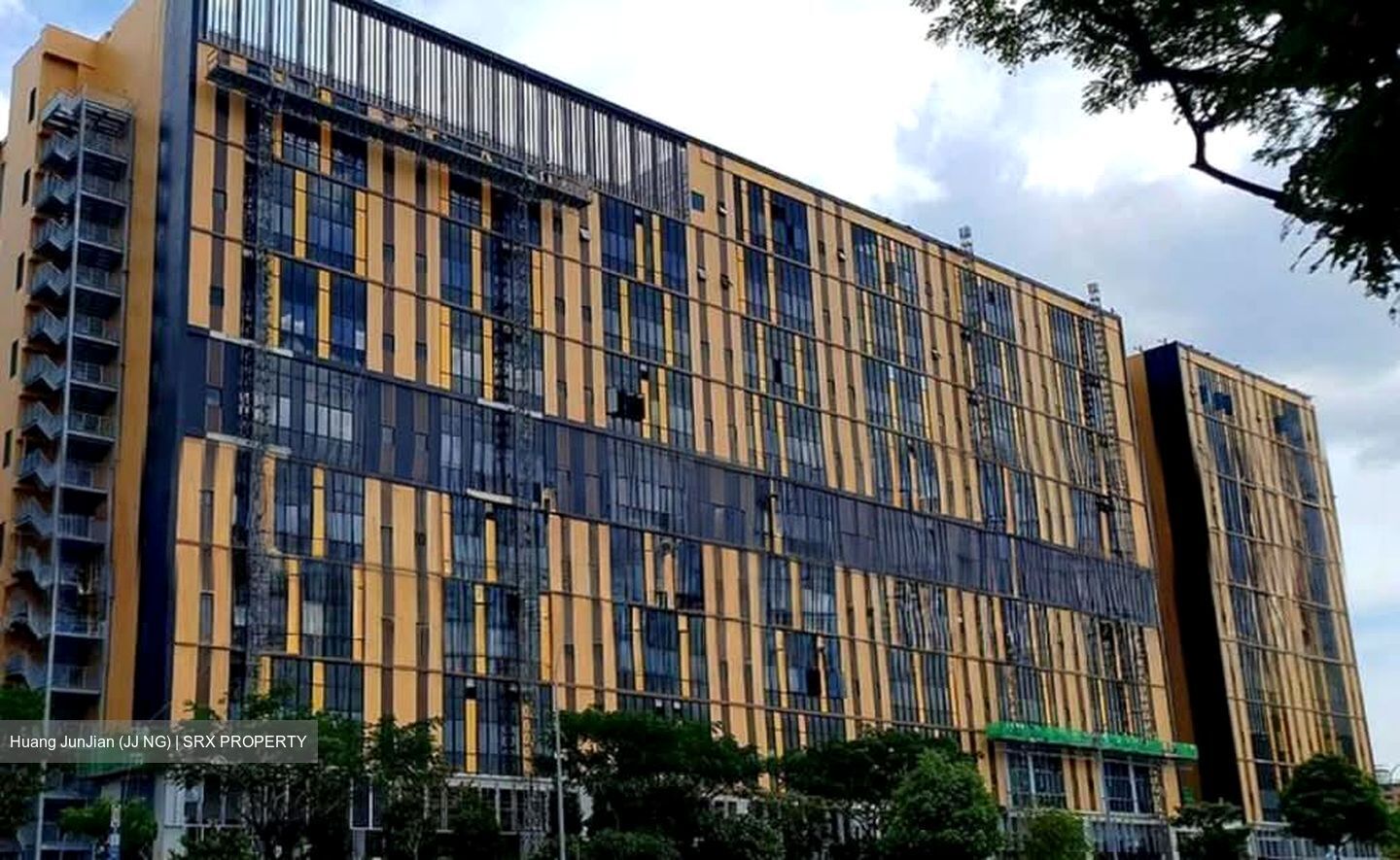 Stellar@tampines (D18), Factory #554263461